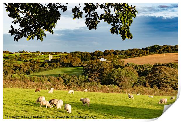 cornish countryside Print by Kevin Britland
