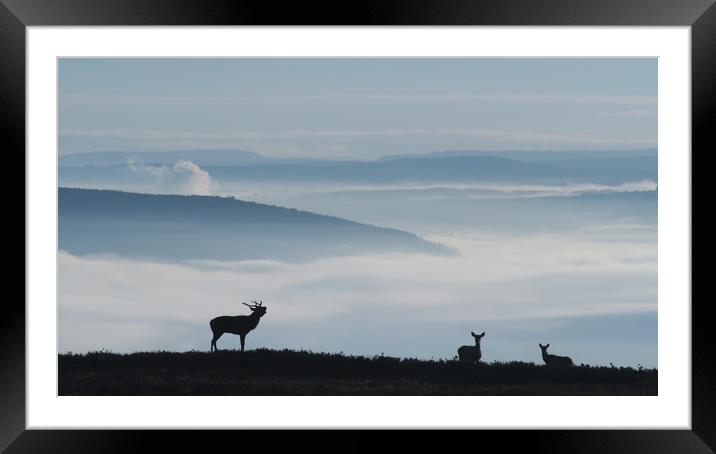 Roaring Above the Fog  Framed Mounted Print by Macrae Images
