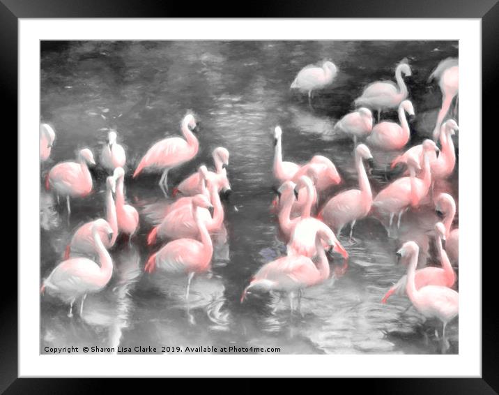 Flamingo party time Framed Mounted Print by Sharon Lisa Clarke