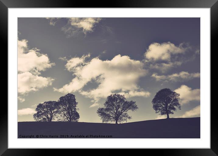 Trees on the hill Framed Mounted Print by Chris Harris