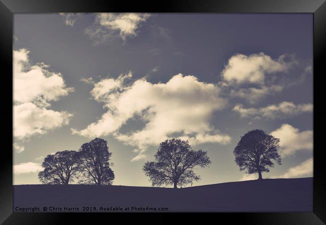 Trees on the hill Framed Print by Chris Harris