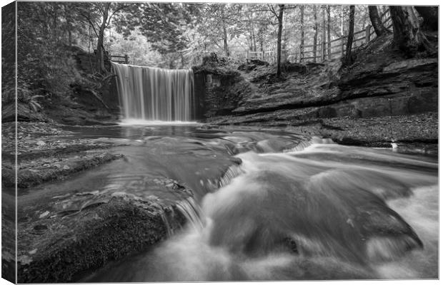 Chasing Waterfalls Canvas Print by Jed Pearson