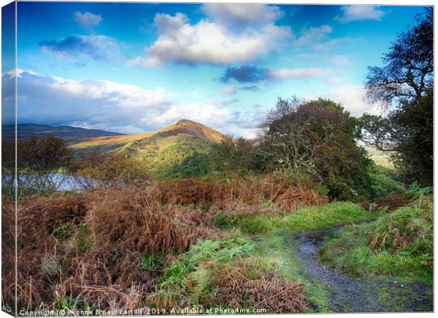 Conic Hill and Loch Lomond from Inchcailloch Canvas Print by yvonne & paul carroll