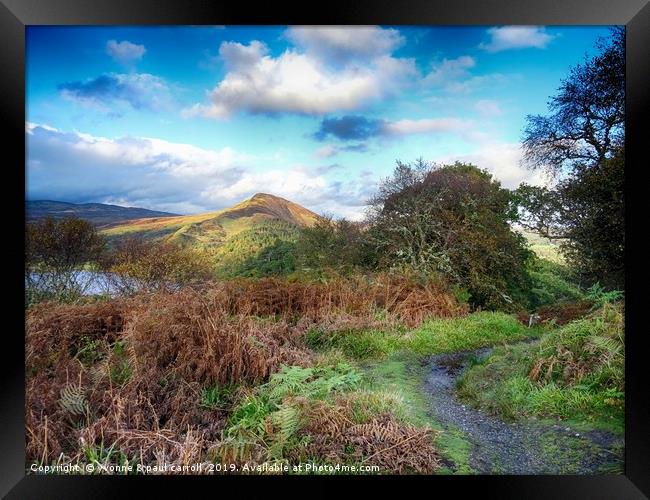 Conic Hill and Loch Lomond from Inchcailloch Framed Print by yvonne & paul carroll