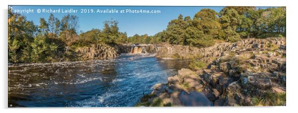 Autumn Morning at Low Force Waterfall Panorama Acrylic by Richard Laidler