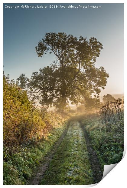 The First Frost of Autumn Print by Richard Laidler