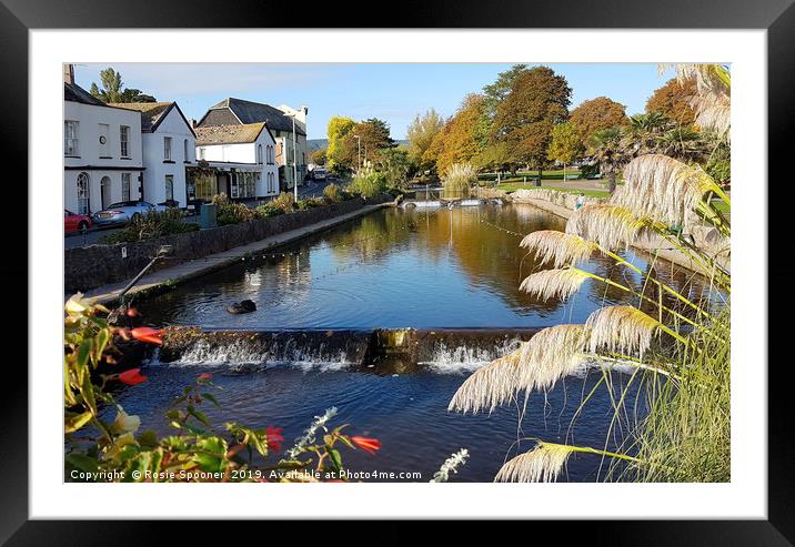 Autumn at Dawlish Brook in South Devon Framed Mounted Print by Rosie Spooner