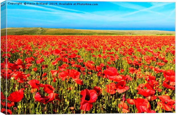 poppy field cornwall Canvas Print by Kevin Britland