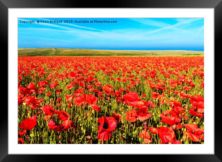 poppy field cornwall Framed Mounted Print by Kevin Britland