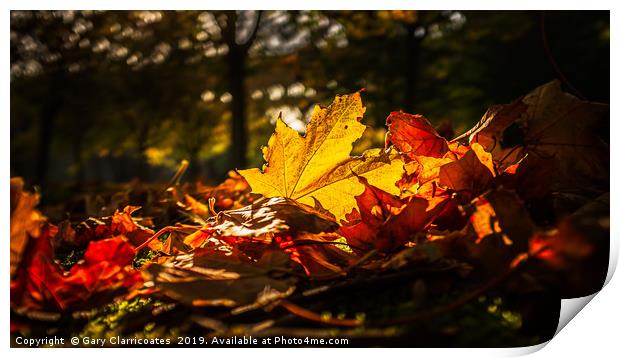 Autumn Leaves Print by Gary Clarricoates
