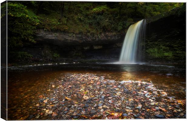 Sgwd Gwladus waterfall after the rain Canvas Print by Leighton Collins