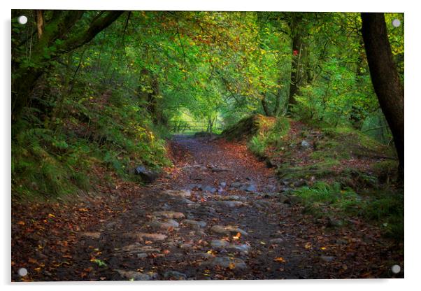 An Autumn walkway Acrylic by Leighton Collins