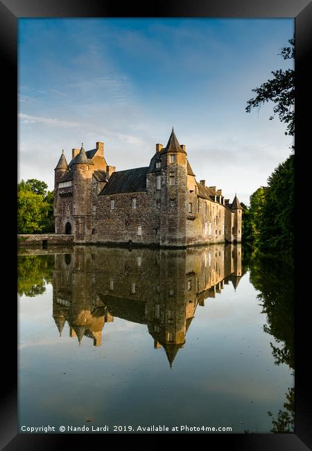 Chateau de Trecesson 3 Framed Print by DiFigiano Photography