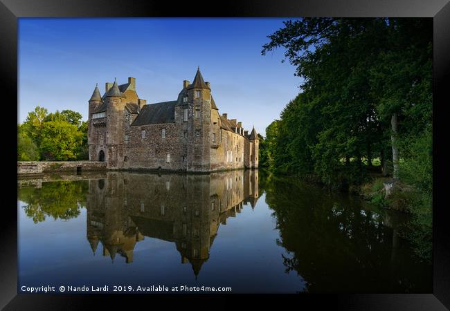 Chateau de Trecesson 2 Framed Print by DiFigiano Photography