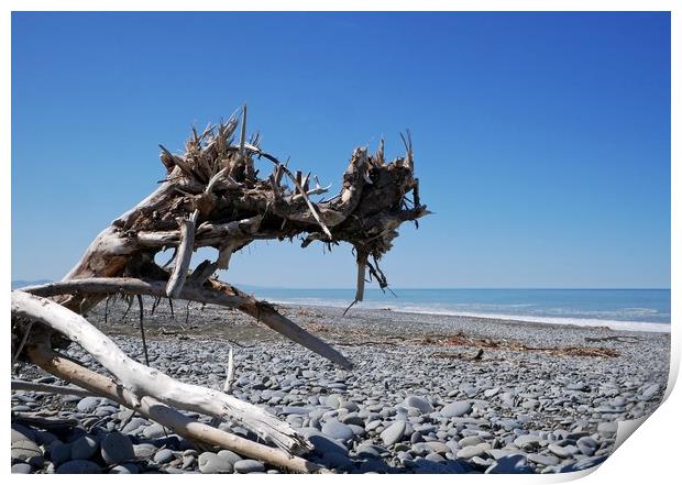 Driftwood on Hokitika beach Print by Martin Smith