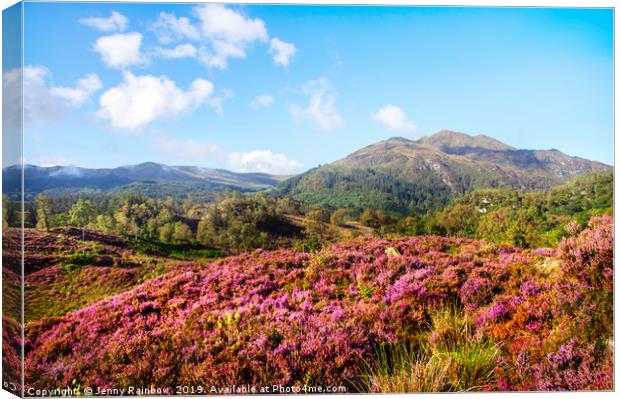 Vivid Glimpses Of Autumn In Trossachs Canvas Print by Jenny Rainbow