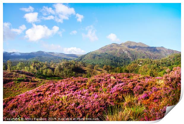 Vivid Glimpses Of Autumn In Trossachs Print by Jenny Rainbow