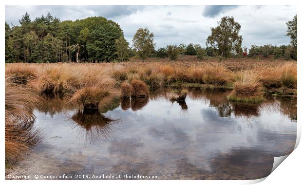 national park de sprengen in holland Print by Chris Willemsen