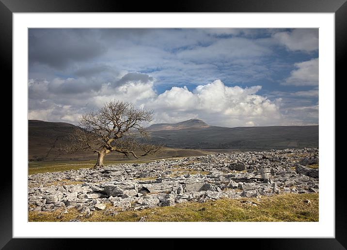 Pen-y-ghent From Pot Scar Framed Mounted Print by Steve Glover