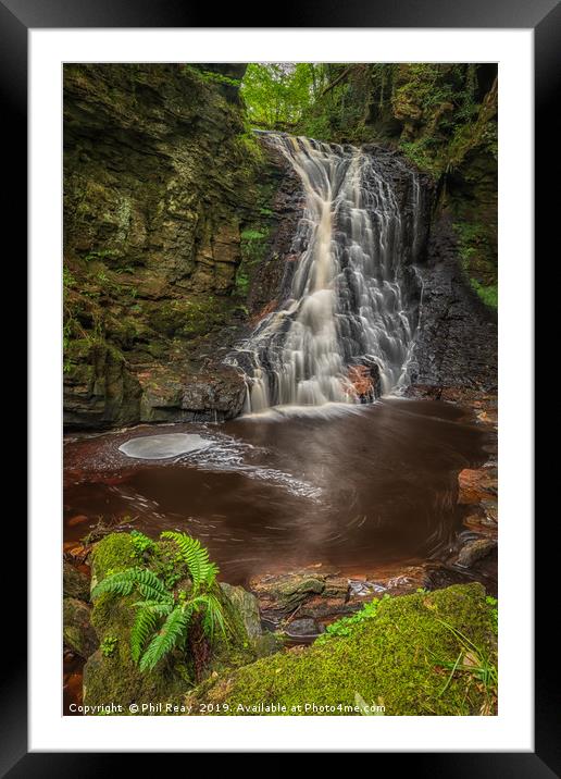 Hareshaw Linn Framed Mounted Print by Phil Reay