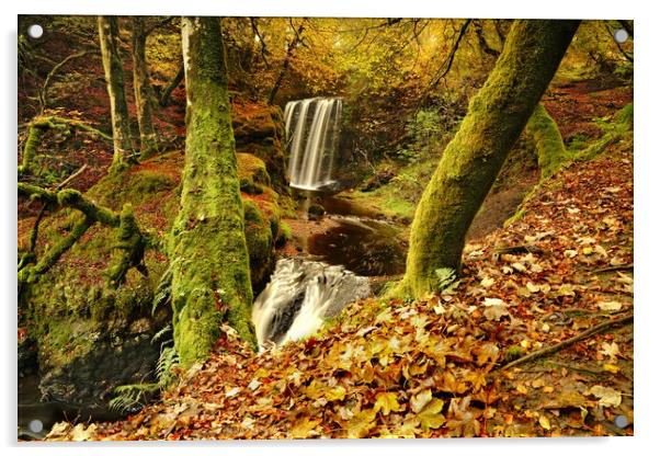 Dalcairney Falls in Autumn Acrylic by JC studios LRPS ARPS