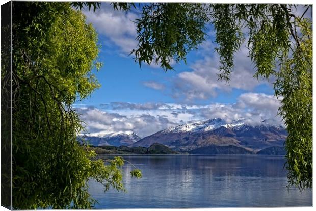 Wanaka lake view, New Zealand Canvas Print by Martin Smith