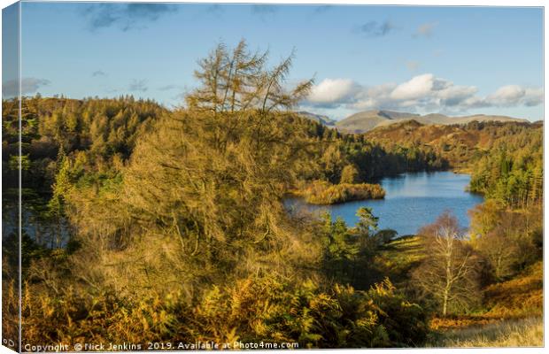 Tarn Hows in the Lake District Cumbria Autumn Canvas Print by Nick Jenkins