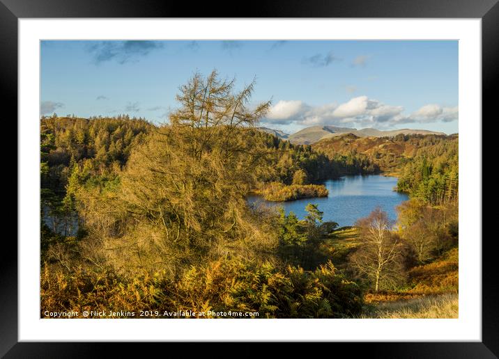 Tarn Hows in the Lake District Cumbria Autumn Framed Mounted Print by Nick Jenkins