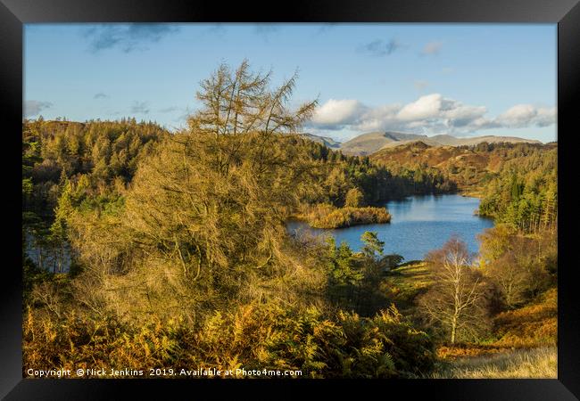 Tarn Hows in the Lake District Cumbria Autumn Framed Print by Nick Jenkins