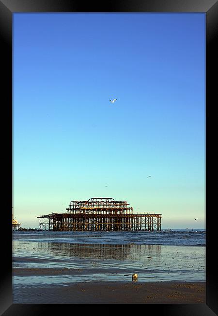 Brighton west pier 2 Framed Print by Oxon Images