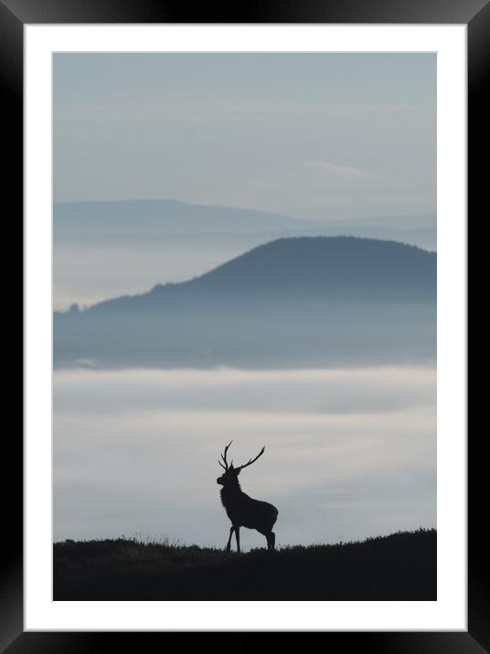 Foggy Silhouette  Framed Mounted Print by Macrae Images