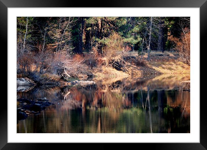at the river Framed Mounted Print by Thomas Stroehle