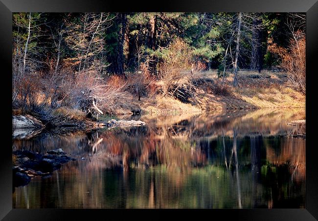 at the river Framed Print by Thomas Stroehle