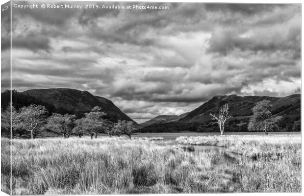 Buttermere Trees Canvas Print by Robert Murray