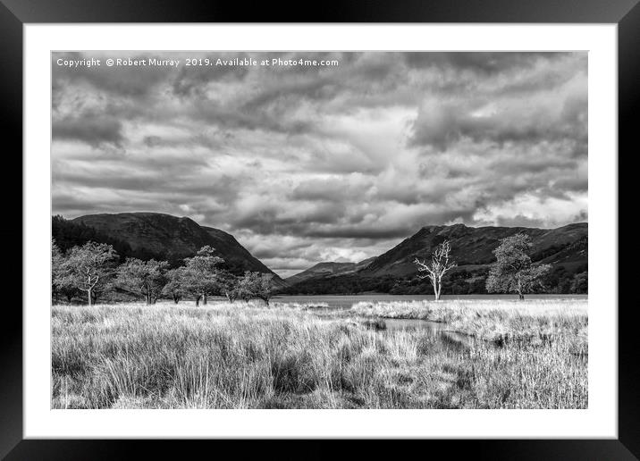 Buttermere Trees Framed Mounted Print by Robert Murray