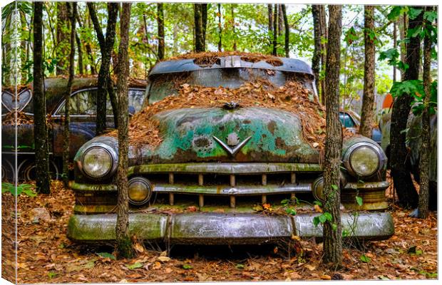 Old Caddy into Trees Canvas Print by Darryl Brooks