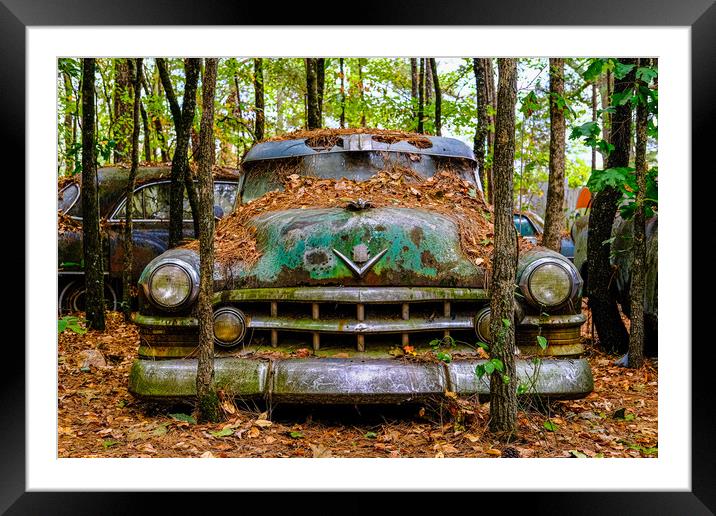 Old Caddy into Trees Framed Mounted Print by Darryl Brooks