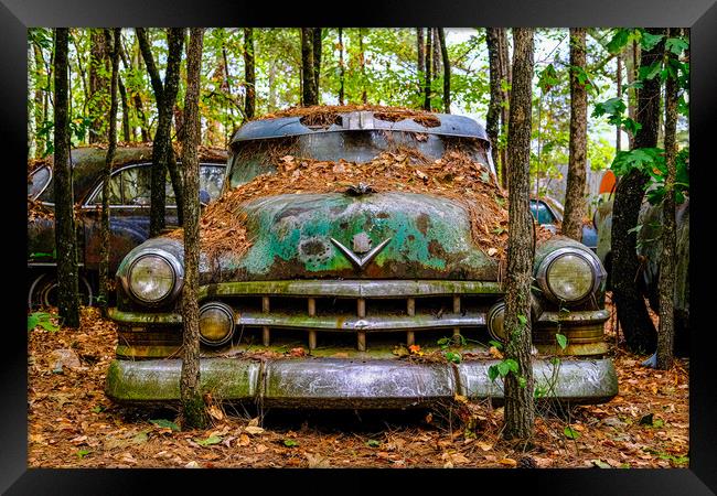 Old Caddy into Trees Framed Print by Darryl Brooks