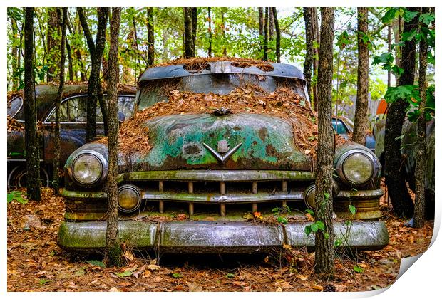 Old Caddy into Trees Print by Darryl Brooks