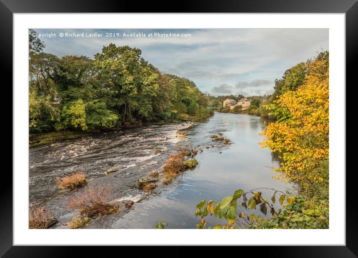 Autumn on the River Tees at Barnard Castle Framed Mounted Print by Richard Laidler