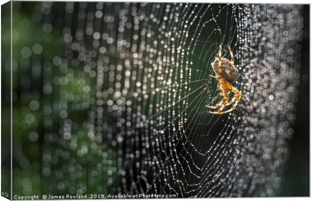 The Silver Web Canvas Print by James Rowland