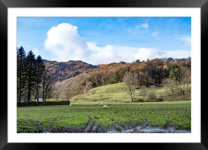 Grassmere  Framed Mounted Print by Mike Hughes