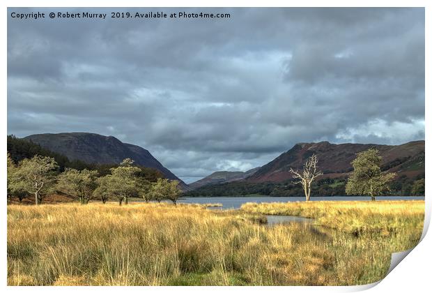Buttermere Trees Print by Robert Murray
