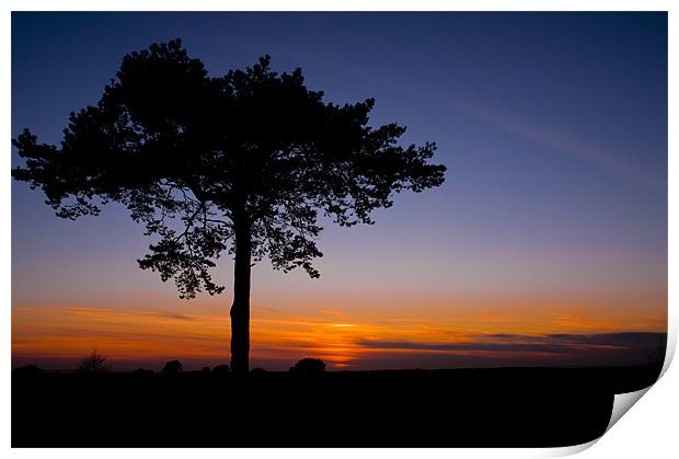Sunsets over Ashdown Forrest, Sussex Print by Eddie Howland