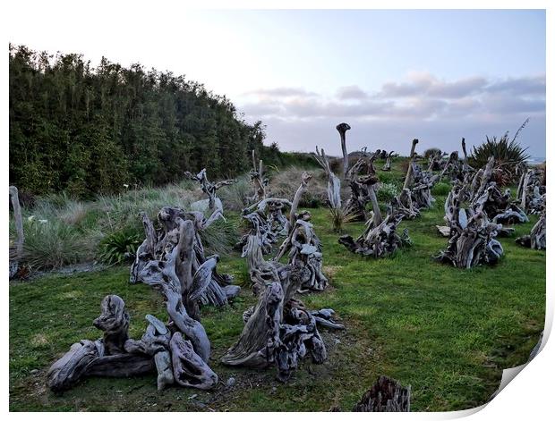 Driftwood sculptures Print by Martin Smith