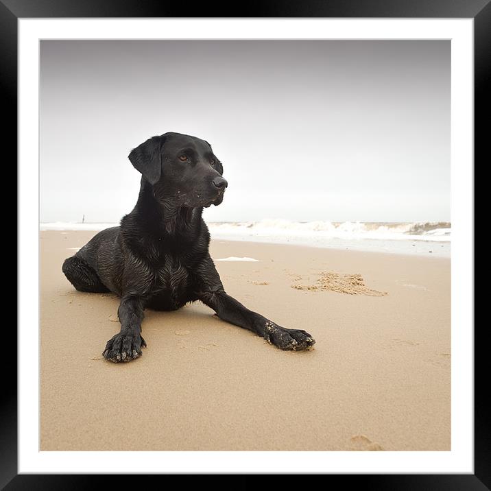 Beach Boy Framed Mounted Print by Simon Wrigglesworth