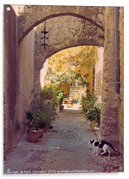 Alleycat - Rhodes Town Acrylic by Philip Openshaw