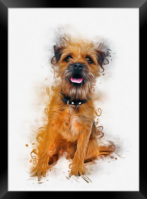  Border Terrier Framed Print by Ian Mitchell