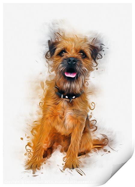  Border Terrier Print by Ian Mitchell