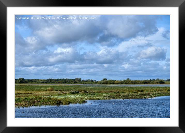 Norfolk Wetlands Framed Mounted Print by Diana Mower